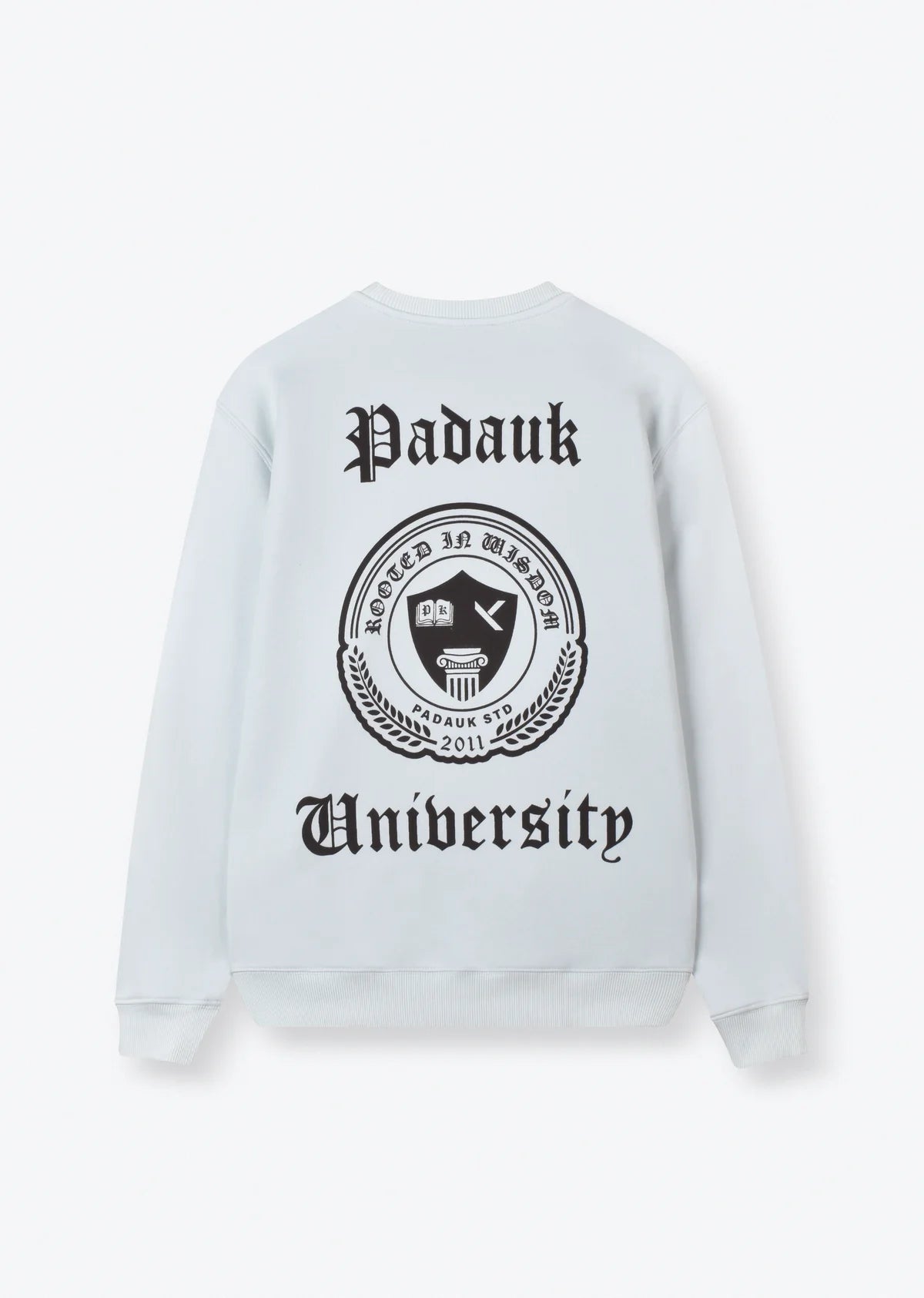 PRINTED OVERSIZE SWEATSHIRT