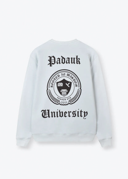PRINTED OVERSIZE SWEATSHIRT
