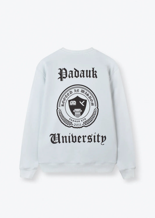 PRINTED OVERSIZE SWEATSHIRT