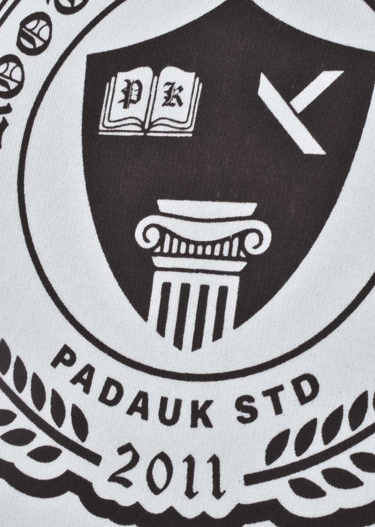 PRINTED OVERSIZE SWEATSHIRT